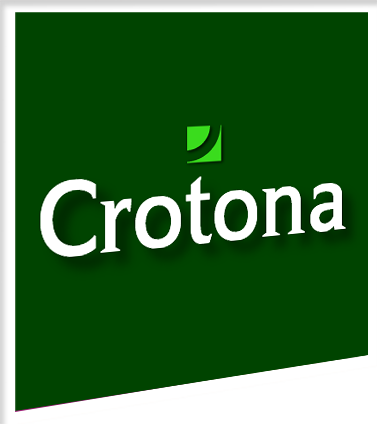 Crotona